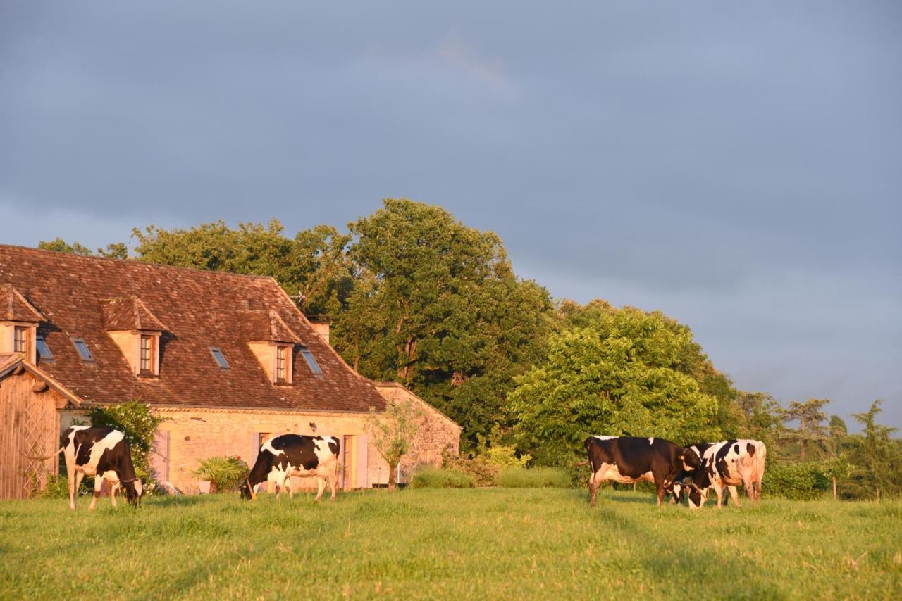 Chambre D'Hotes La Ferme De La Croix. Saint-Avit-Sénieur Esterno foto