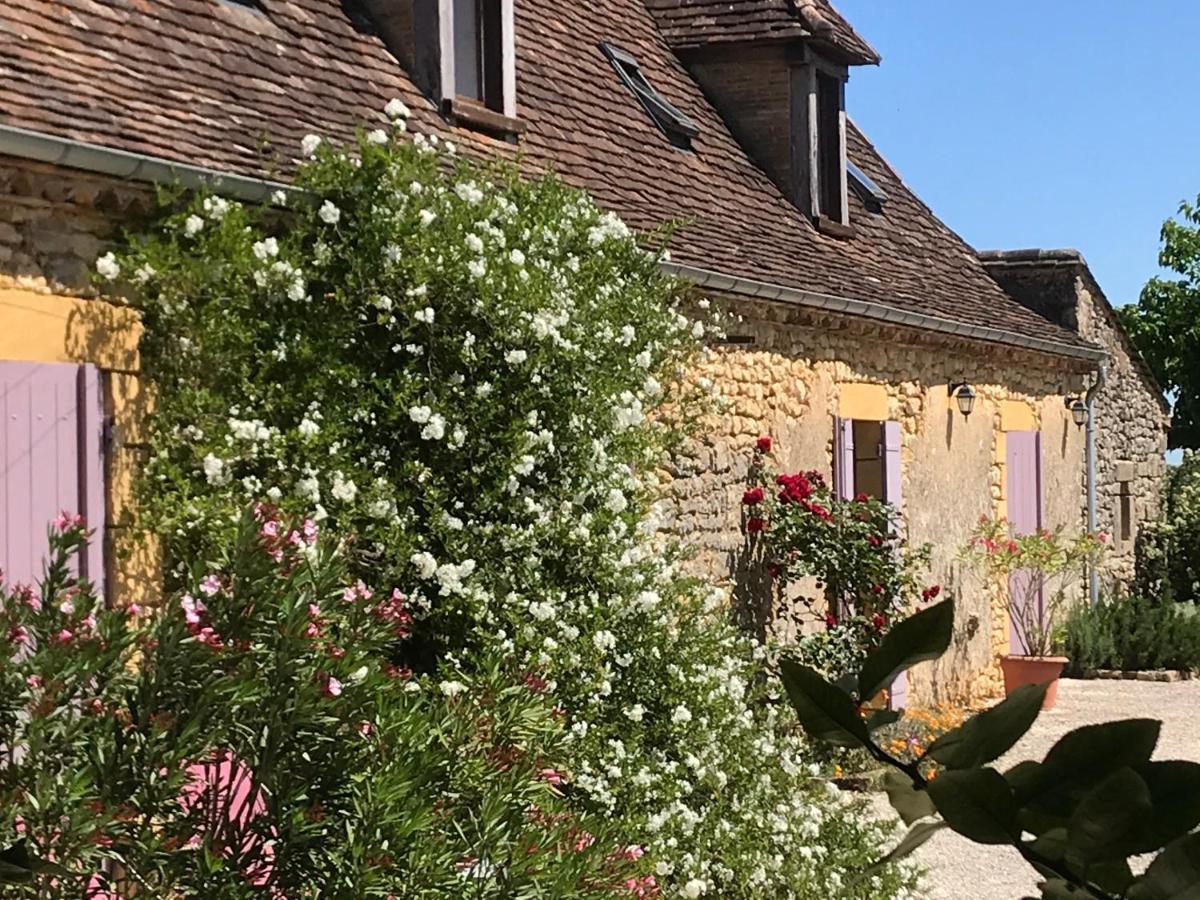 Chambre D'Hotes La Ferme De La Croix. Saint-Avit-Sénieur Esterno foto
